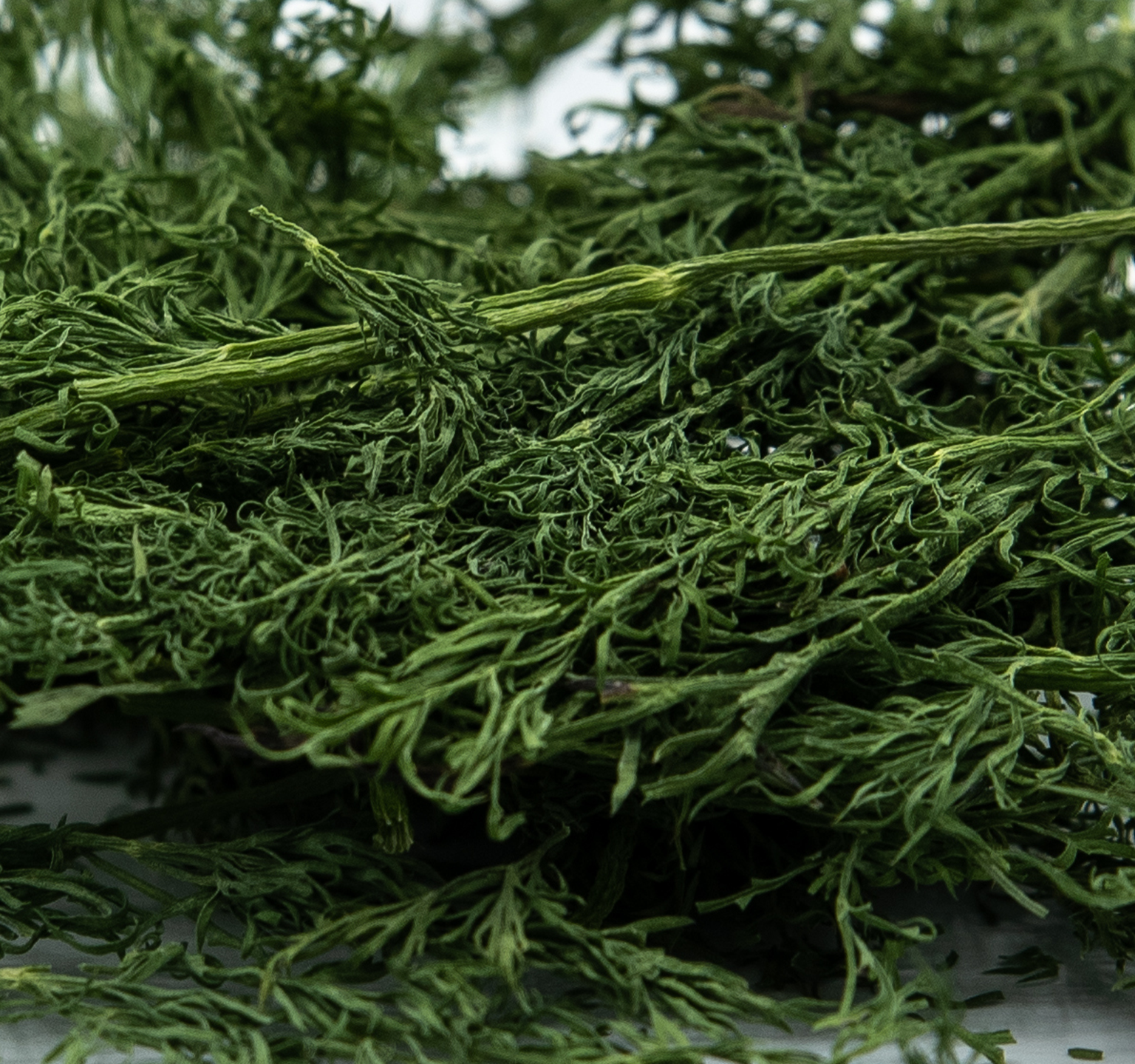 Dill